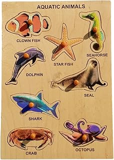 Sea Animals Tray