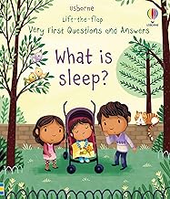 What is sleep?