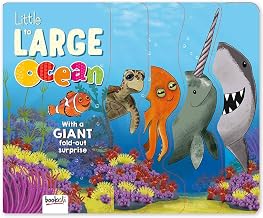 Little to Large Under The Sea