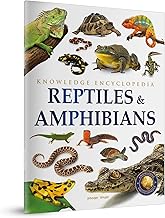 Reptiles